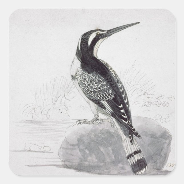 Schwarz-Weiß-Kingfisher Quadratischer Aufkleber (Vorderseite)