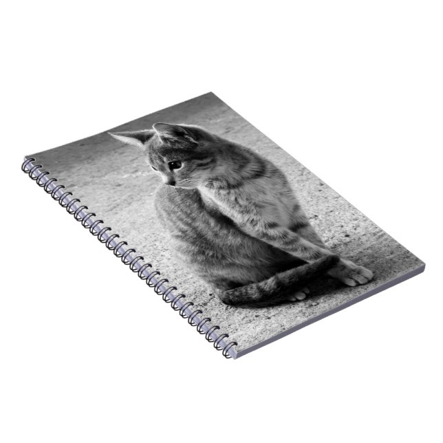 Schwarz-Weiß-KitchenNotebook Notizblock (Rechte Seite)