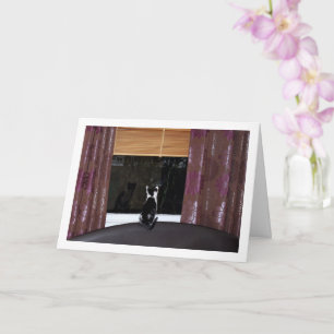 Schwarz-Weiß-Kitte am Fenster Karte