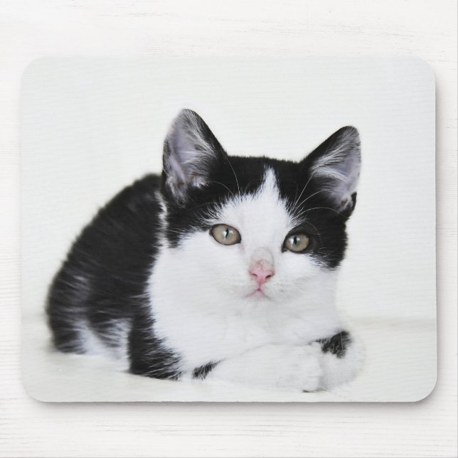 Schwarz-Weiß-Kitte Mousepad (Vorne)