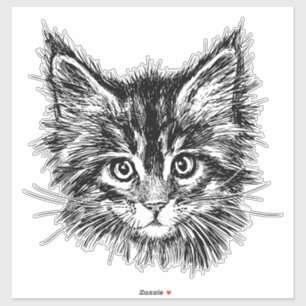 Schwarz-Weiß-Kitten Aufkleber