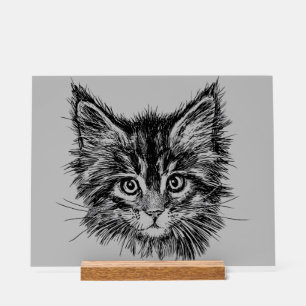 Schwarz-Weiß-Kitten-Gesichter auf Grau Acrylschild