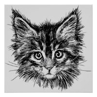 Schwarz-Weiß-Kitten-Gesichter auf Grau