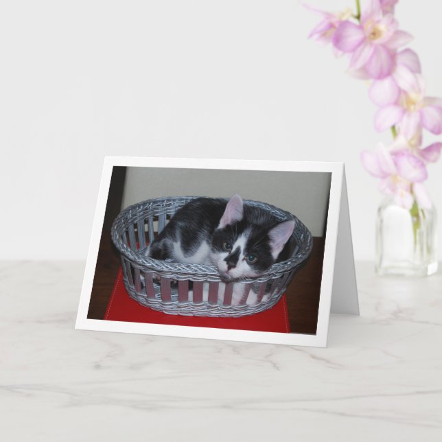 Schwarz-Weiß-Kitten im Korb Karte (Orchidee)