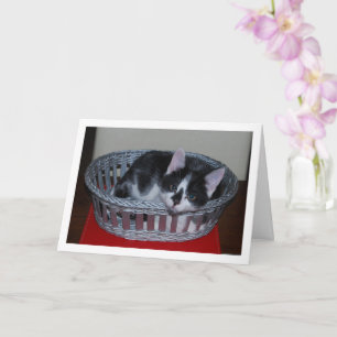 Schwarz-Weiß-Kitten im Korb Karte