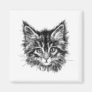 Schwarz-Weiß-Kitten Magnet