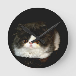 Schwarz-Weiß-Kitten Runde Wanduhr