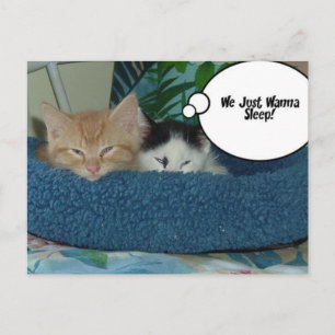 Schwarz-Weiß-Kitty-Katze Postkarte