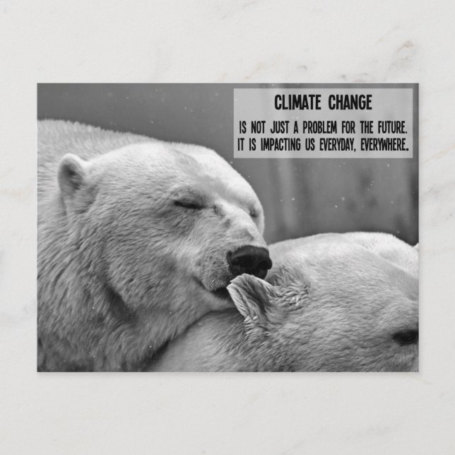 Schwarz-Weiß-Klimawandel mit Eisbären Postkarte (Vorderseite)