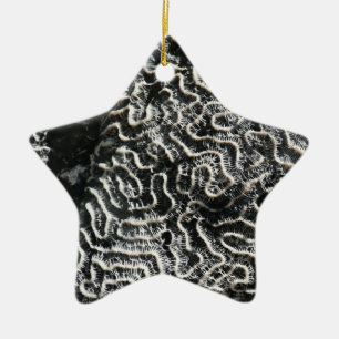 Schwarz-Weiß-Koralle I Abstrakte Naturfotografie Keramik Ornament