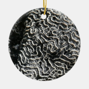 Schwarz-Weiß-Koralle I Abstrakte Naturfotografie Keramik Ornament