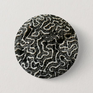 Schwarz-Weiß-Koralle II Abstrakte Naturfotografie Button