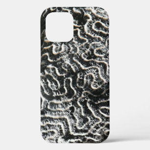 Schwarz-Weiß-Koralle II Abstrakte Naturfotografie Case-Mate iPhone Hülle