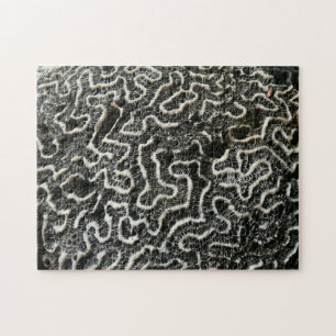 Schwarz-Weiß-Koralle II Abstrakte Naturfotografie Puzzle