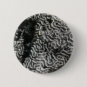 Schwarz-Weiß-Korallen I Abstrakt-Natur-Foto Button