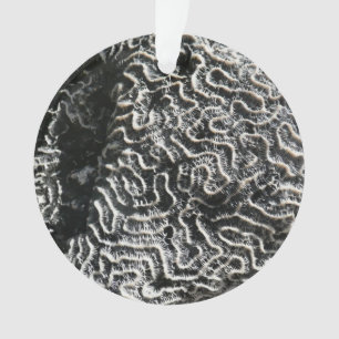 Schwarz-Weiß-Korallen I Abstrakt-Natur-Foto Ornament