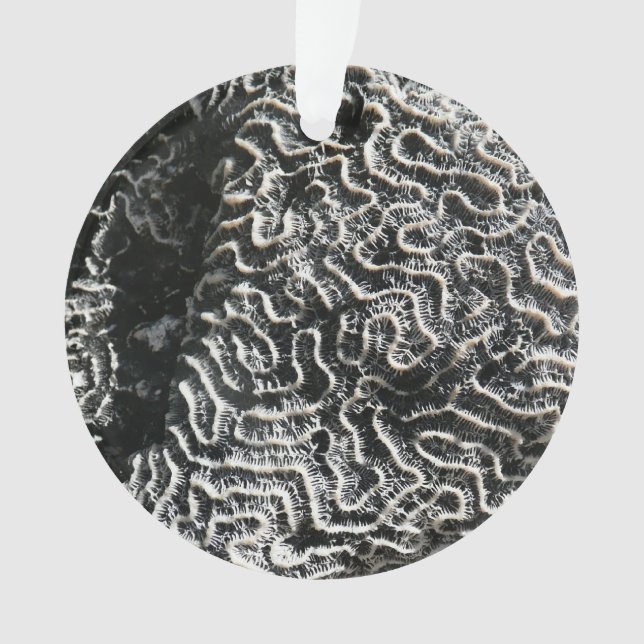 Schwarz-Weiß-Korallen I Abstrakt-Natur-Foto Ornament (Vorderseite)