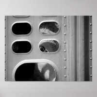 Schwarz-Weiß-Kuh mit Blick durch einen LKW 16x20