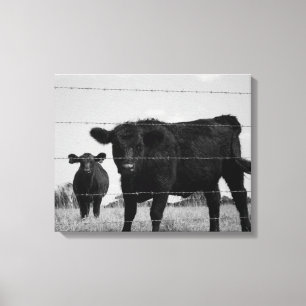 Schwarz-Weiß-Kuh und Kalb hinter Drahtzaun 16x20 Leinwanddruck