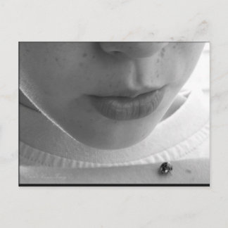 Schwarz-Weiß-Ladybug Postkarte