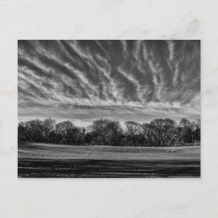 Schwarz-Weiß-Landschaft Zentralpark Foto Postkarte