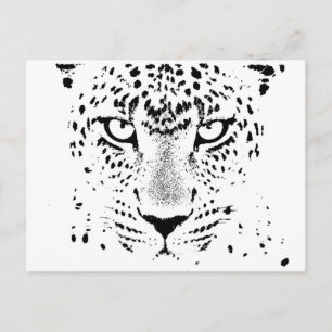 Schwarz-Weiß-Leoparden Postkarte
