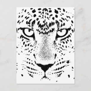 Schwarz-Weiß-Leoparden Postkarte