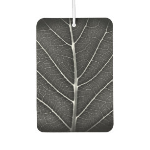 Schwarz-weiß leuchtendes Blatt Nahaufnahme Autolufterfrischer