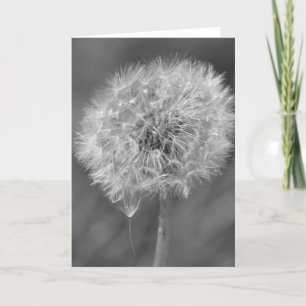 Schwarz-Weiß-Leuchter-Blumenfotografie Karte