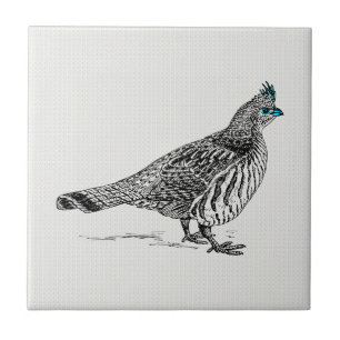 Schwarz-Weiß-Linienzeichnung Wilder Vogel Fliese
