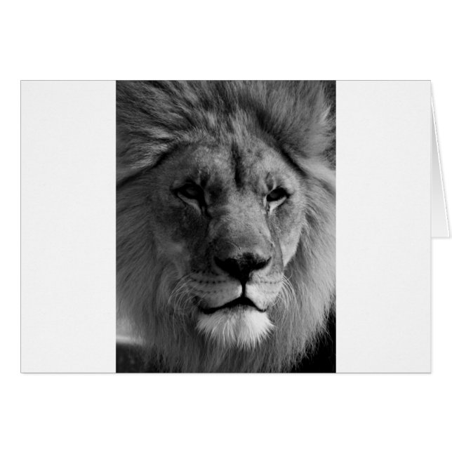 Schwarz-Weiß-Lion (Vorderseite (Horizontal))