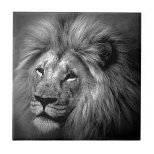 Schwarz-Weiß-Lion Fliese