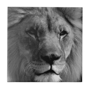 Schwarz-Weiß-Lion Fliese