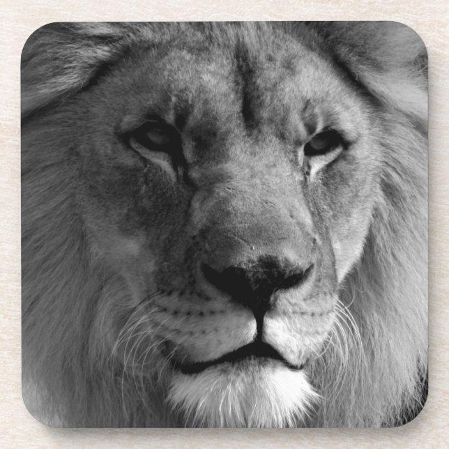 Schwarz-Weiß-Lion Getränkeuntersetzer (Vorderseite)