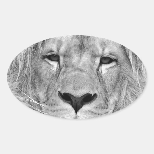 Schwarz-Weiß-Lion Ovaler Aufkleber (Vorderseite)