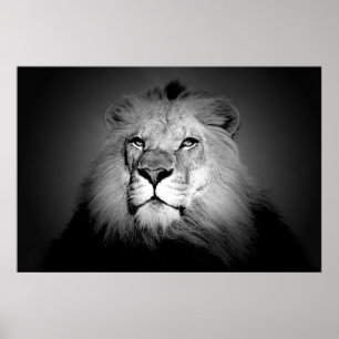 Schwarz-Weiß-Lion-Poster drucken Poster