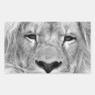 Schwarz-Weiß-Lion Rechteckiger Aufkleber