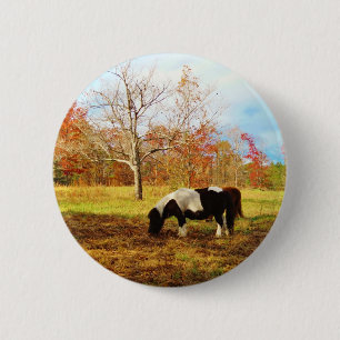 Schwarz-Weiß-Miniaturpony / Pferd Button