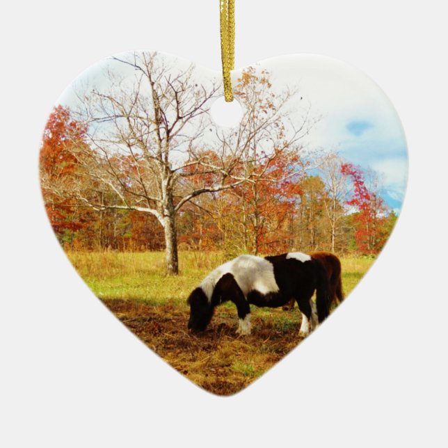 Schwarz-Weiß-Miniaturpony / Pferd Keramik Ornament (Vorne)