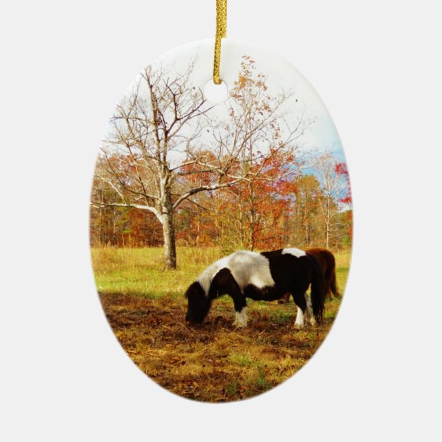 Schwarz-Weiß-Miniaturpony / Pferd Keramikornament (Vorne)
