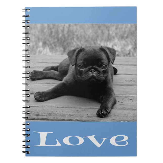 Schwarz-Weiß-Mops-Welpe-Dog Blue-Liebe-Notebook Notizblock (Vorderseite)
