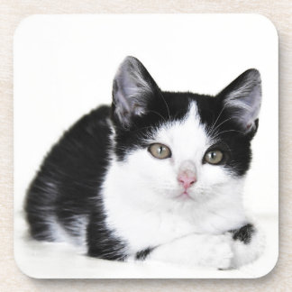 Schwarz-weiß nachdenkliche Kitten Untersetzer