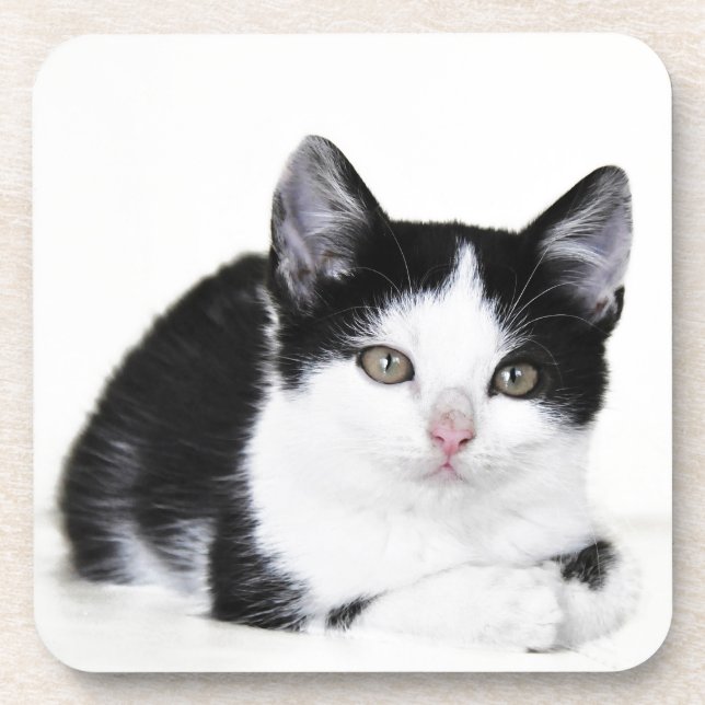 Schwarz-weiß nachdenkliche Kitten Untersetzer (Vorderseite)