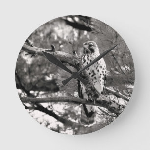 Schwarz-Weiß-Natur-Roter Schulter-Hawk - Runde Wanduhr