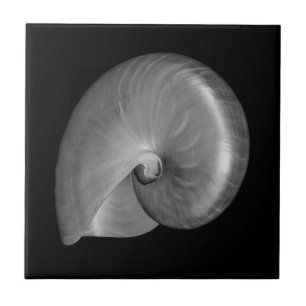 Schwarz-Weiß-Nautilus-Schale Fliese