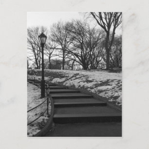 Schwarz-weiß NY Central Park Postkarte