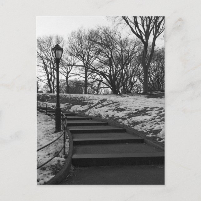 Schwarz-weiß NY Central Park Postkarte (Vorderseite)