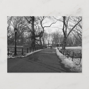 Schwarz-weiß NY Central Park Postkarte