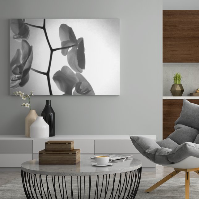 Schwarz-Weiß-Orchideen-Blume am Stem Poster (Von Creator hochgeladen)