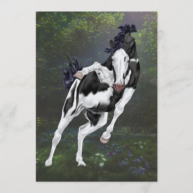 Schwarz-Weiß-Overo-Farbpaint (Vorderseite)